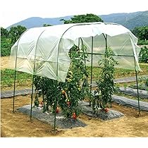 Amazon | DAIM 家庭菜園 雨よけセット ワイド 高さ175cm×肩幅160cm